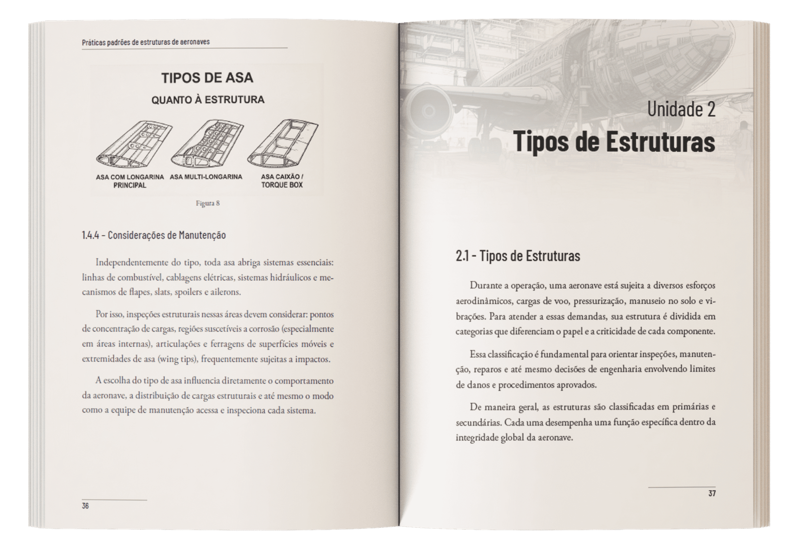 Pratica aeronaves